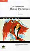 Hawks & Sparrows*